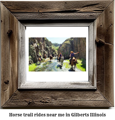 horse trail rides near me in Gilberts, Illinois